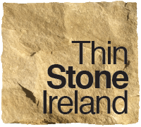 Logo of ThinStone Ireland